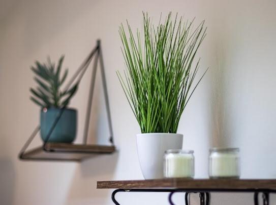 Center Cozy Apartment Суботица Екстериор снимка